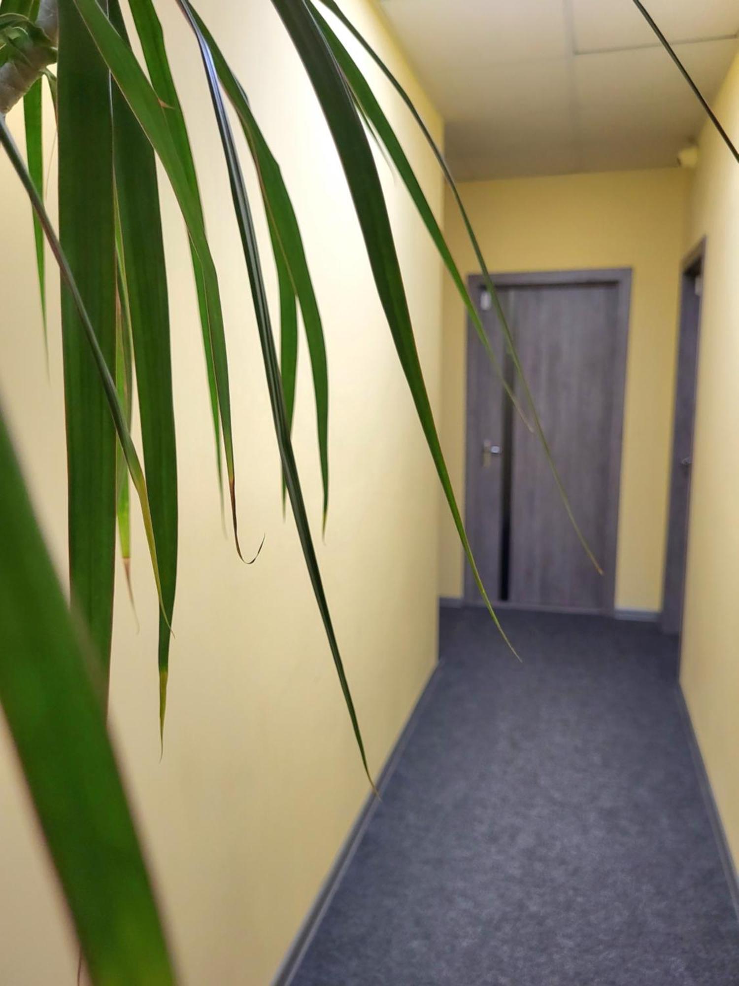 Амстердам Hotell Khmelʼnytsʼkyy Exteriör bild